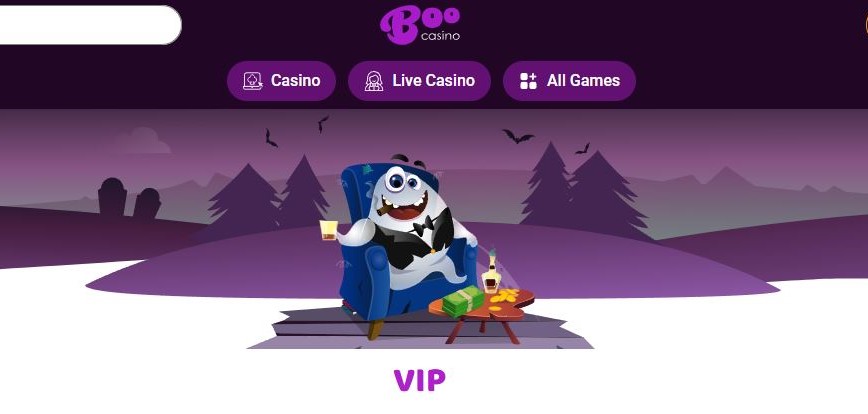 Explore exclusive VIP program benefits